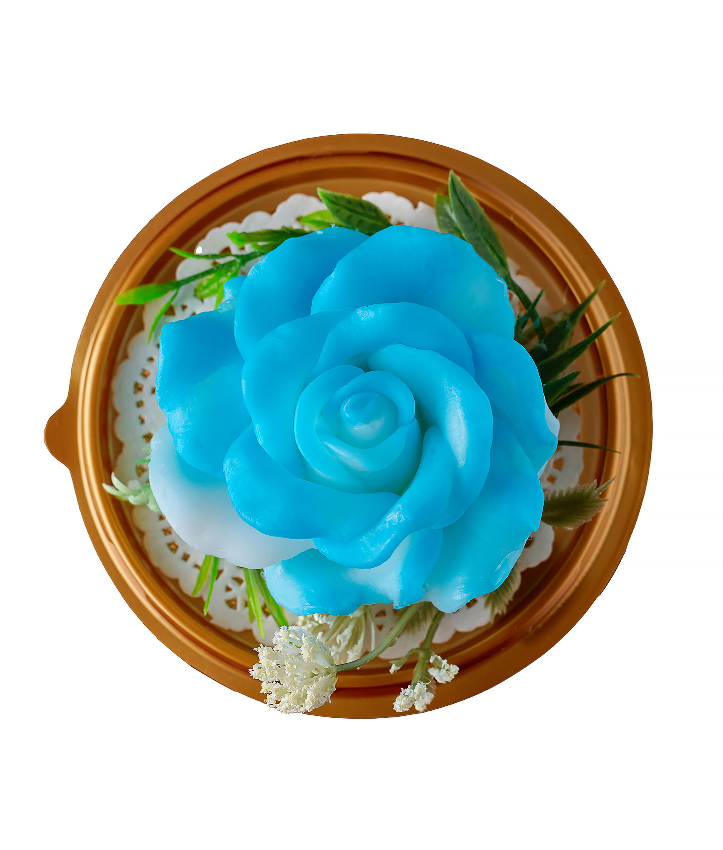 Мыльная роза тихоокеанского синий цвета