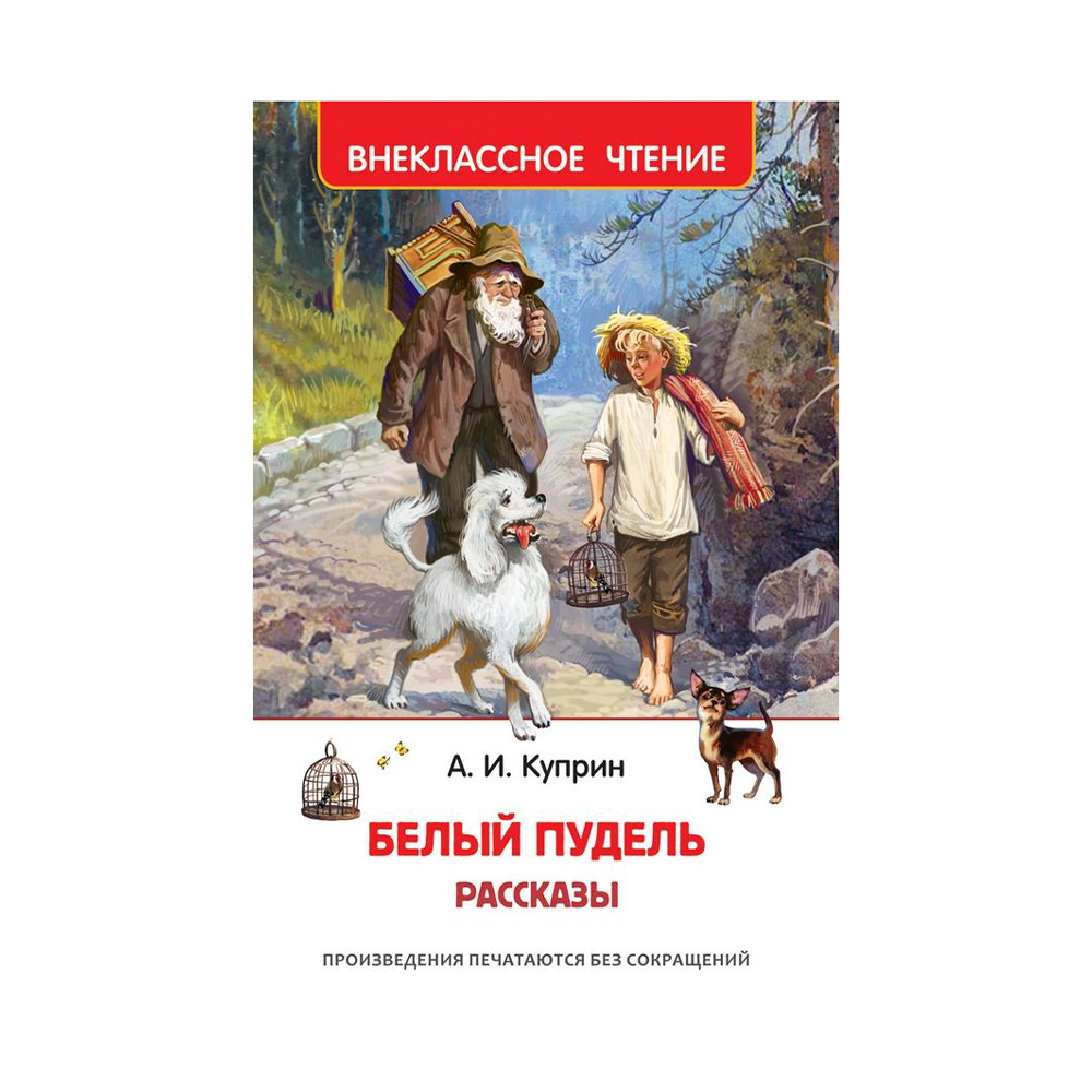 Куприн белый пудель читать. Жанр книги белый пудель. Куприн белый пудель картинки к рассказу. Куприн белый пудель план 6 глав.