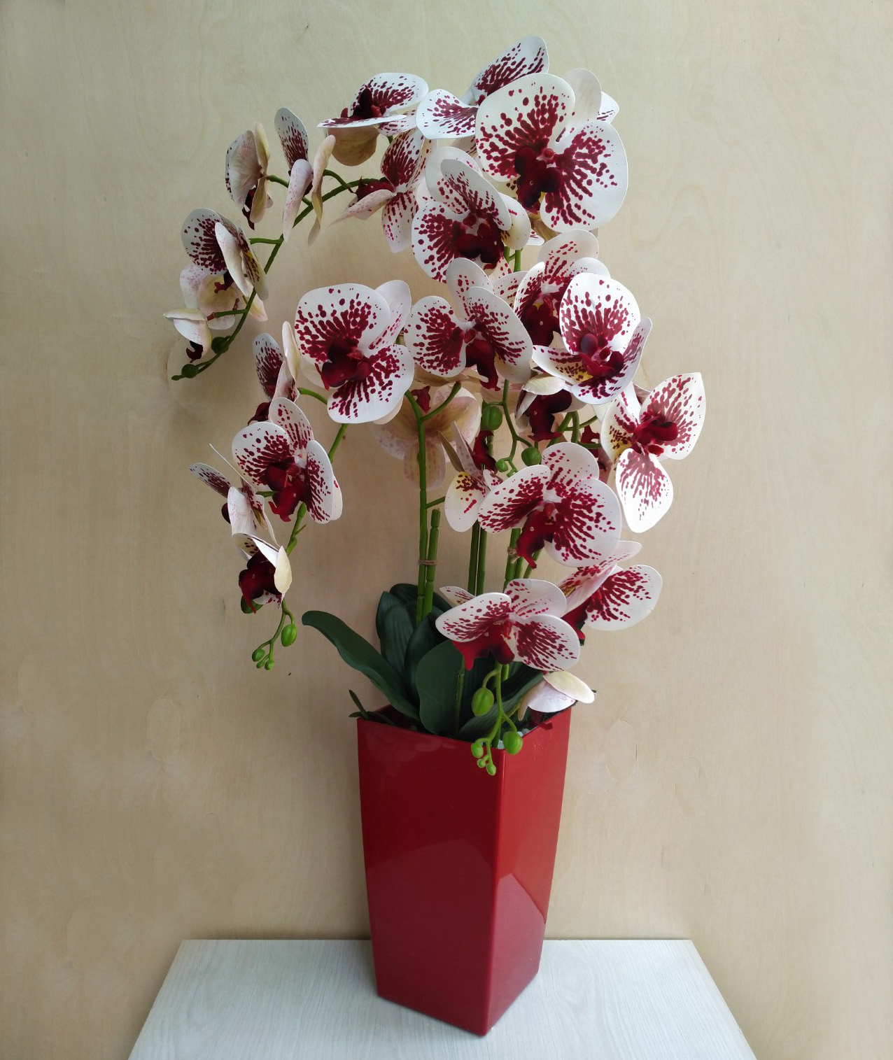 Гелиевая орхидея, 4 ветки