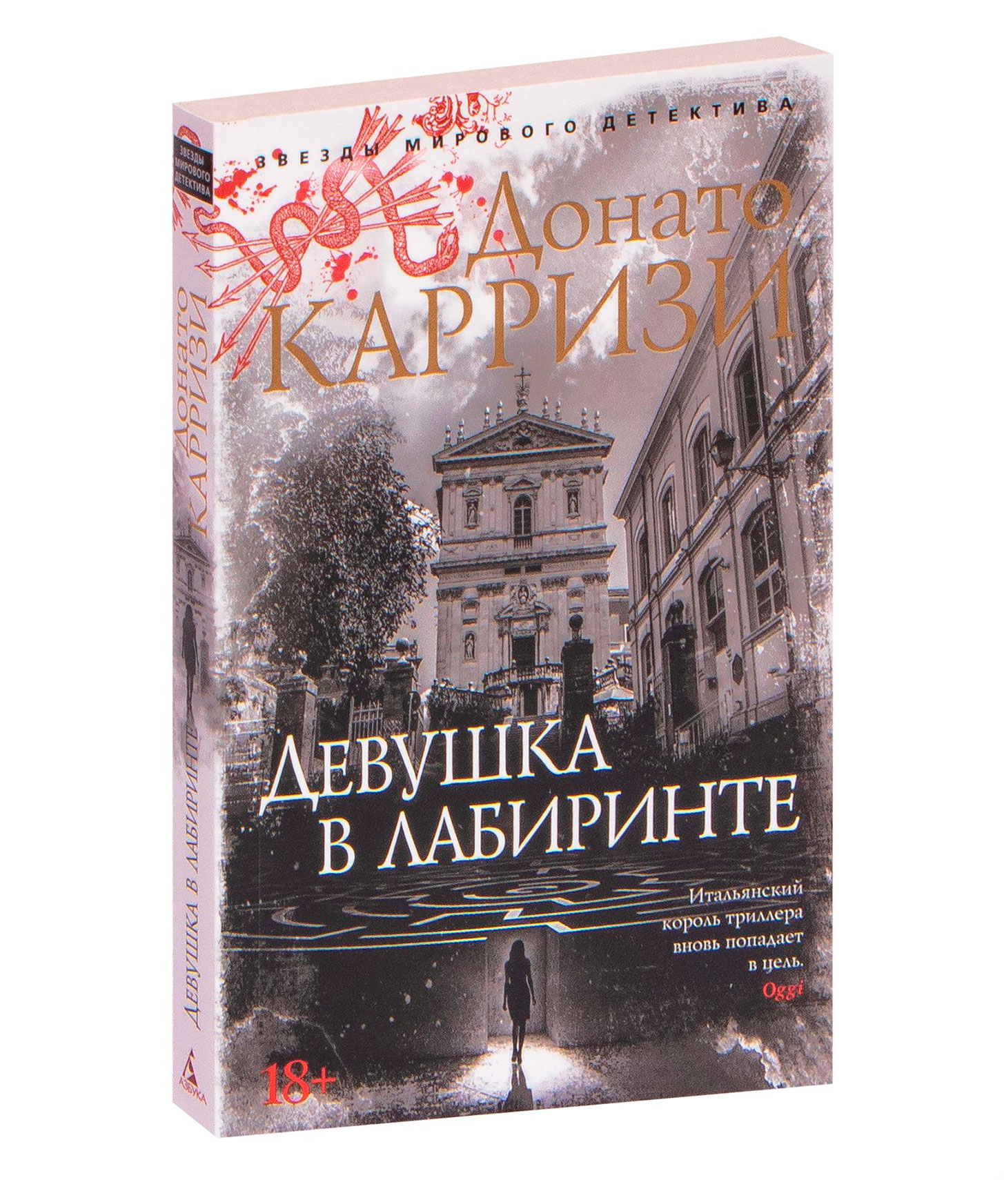 Карризи книги. Карризи девушка в лабиринте. Книга Карризи девушка в лабиринте. Донато Карризи девушка в лабиринте. Обложка книги Донато Карризи девушка в лабиринте.