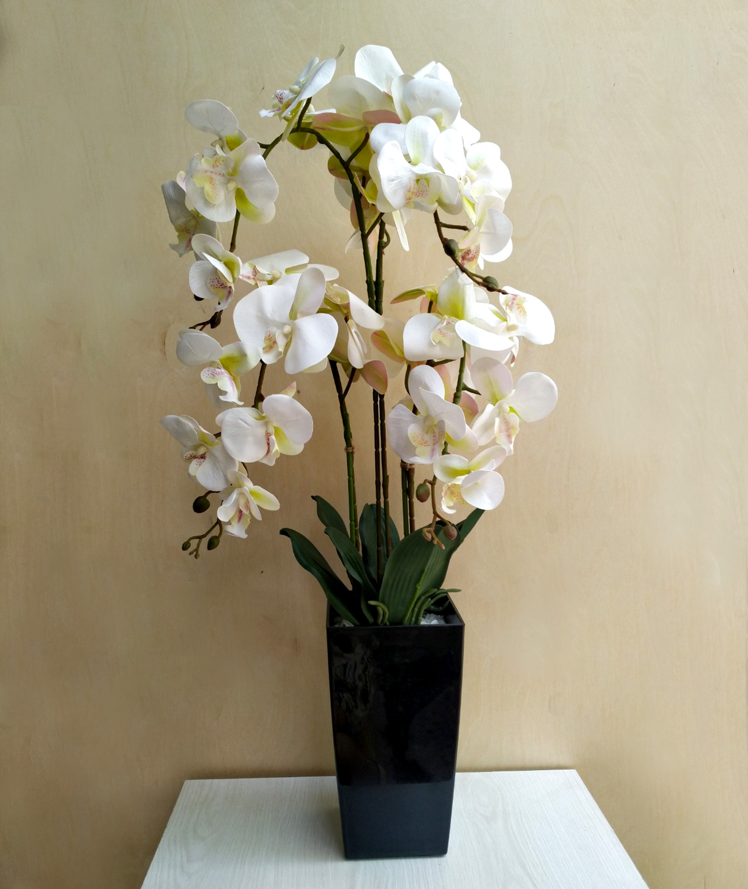Гелиевая орхидея, 4 ветки
